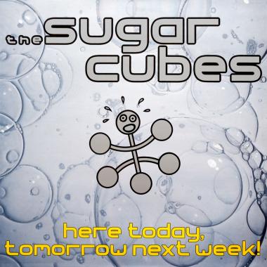 The Sugarcubes -  Here Today, Tomorrow Next Week